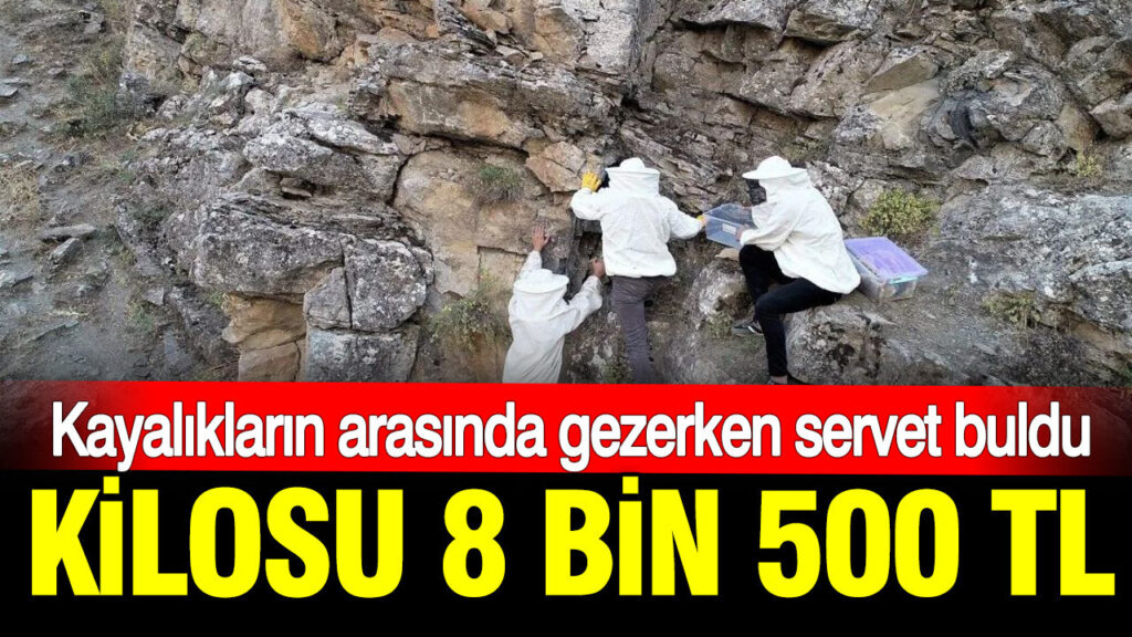 haber-gorseli-1786371928456