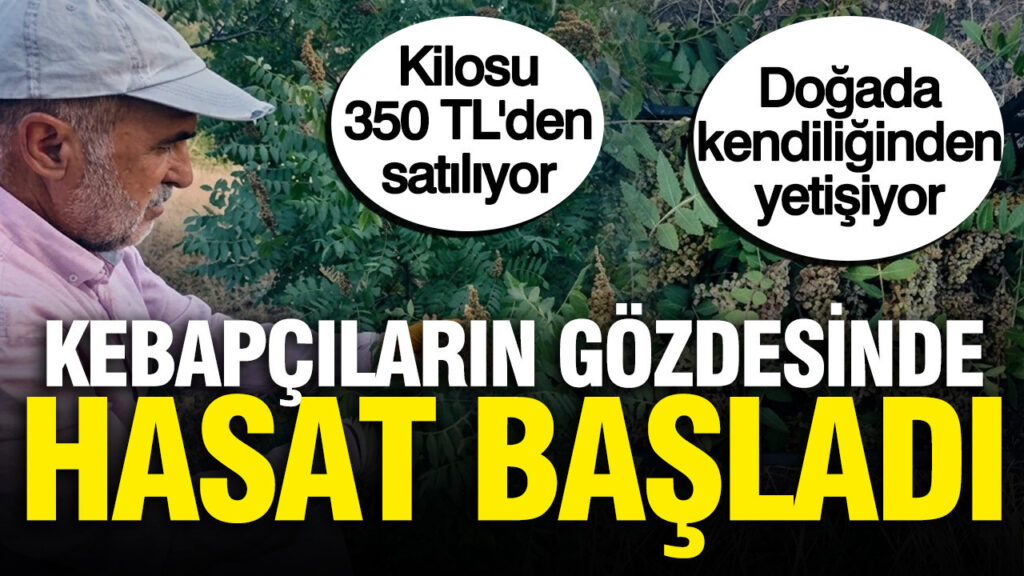 haber-gorseli-1786450505661